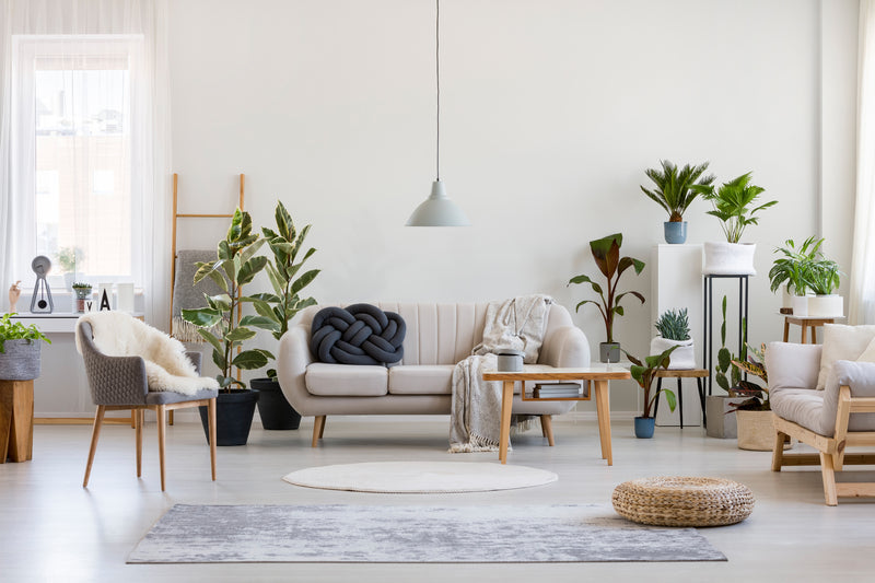 Fix my living room